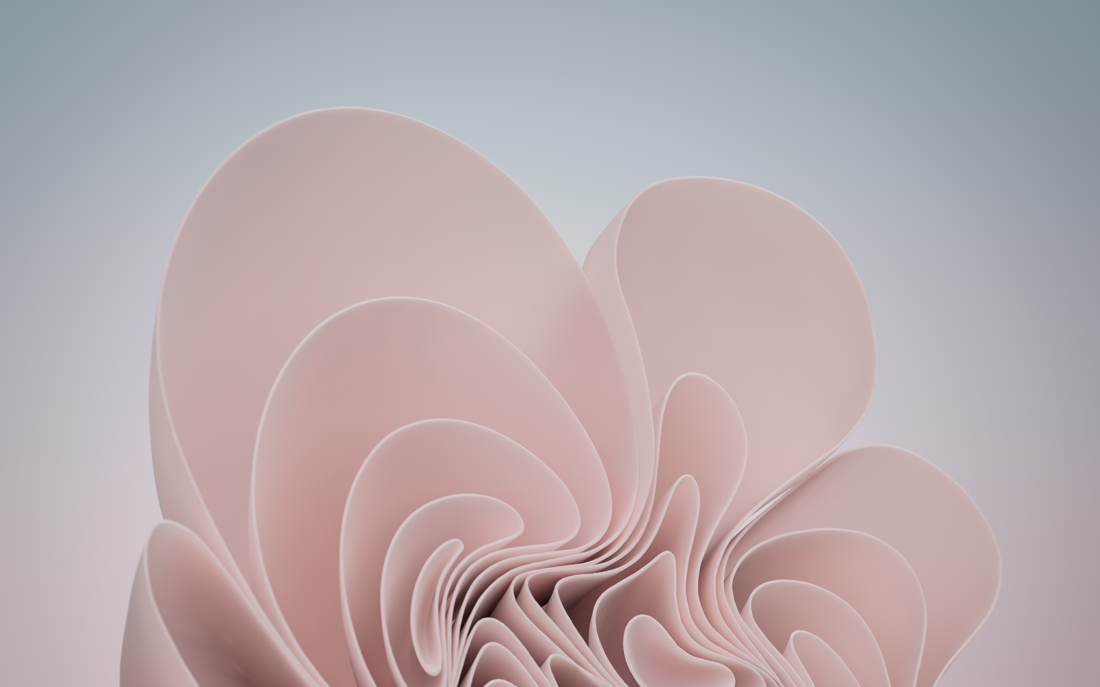 wallpaper